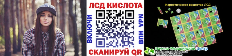 дарнет шоп  Североморск  Наркотические марки 1500мкг 